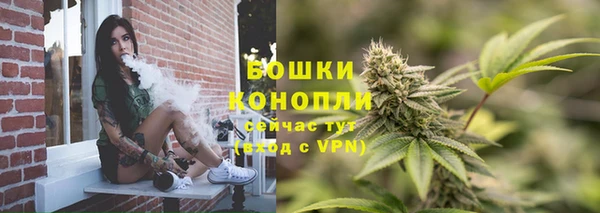 стаф Майский