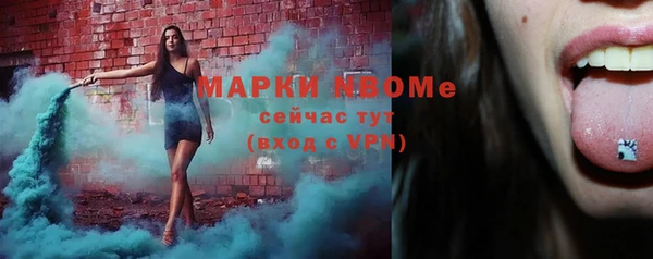 прущие грибы Мегион