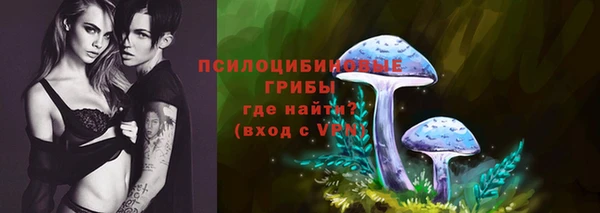 СК Магадан