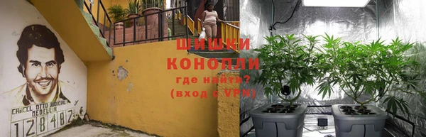 стаф Майский