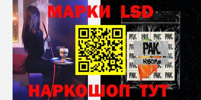 стафф Бийск