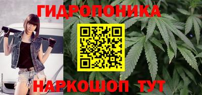 прущие грибы Беслан