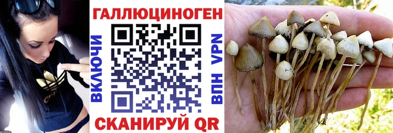 Галлюциногенные грибы MAGIC MUSHROOMS  Каменск-Шахтинский 