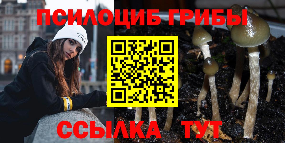 Каменск-Шахтинский  Псилоцибиновые грибы Magic Shrooms  Вход с VPN 