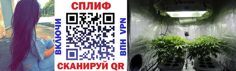 blacksprut сайт  Каменск-Шахтинский  Канабис THC 21% 
